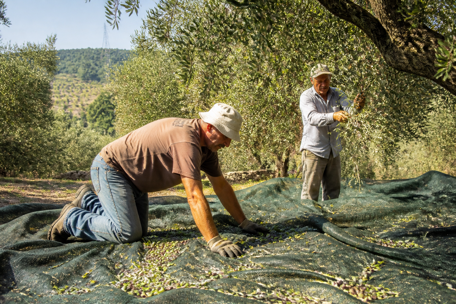 Travail saisonnier